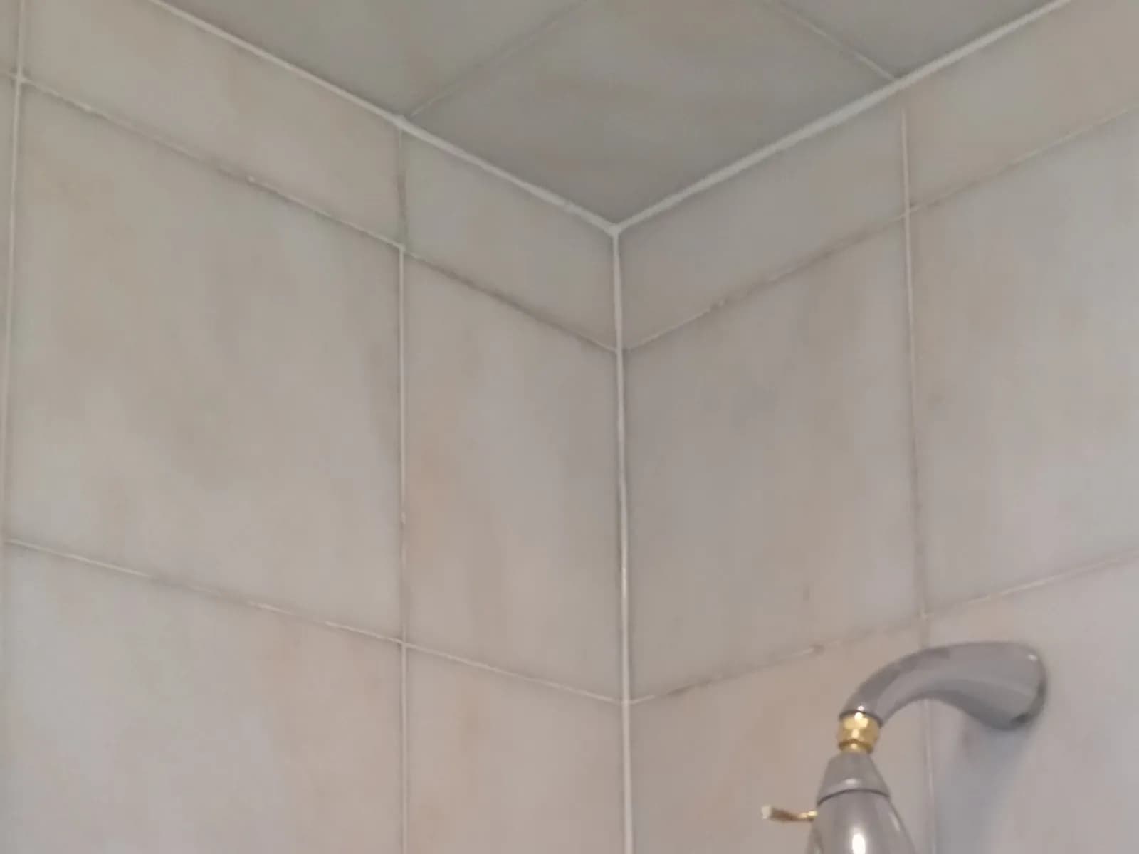 Darkened shower grout, after