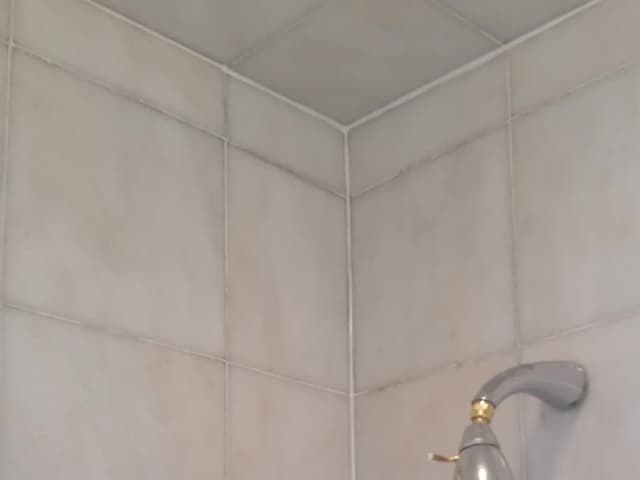Darkened shower grout after restoration