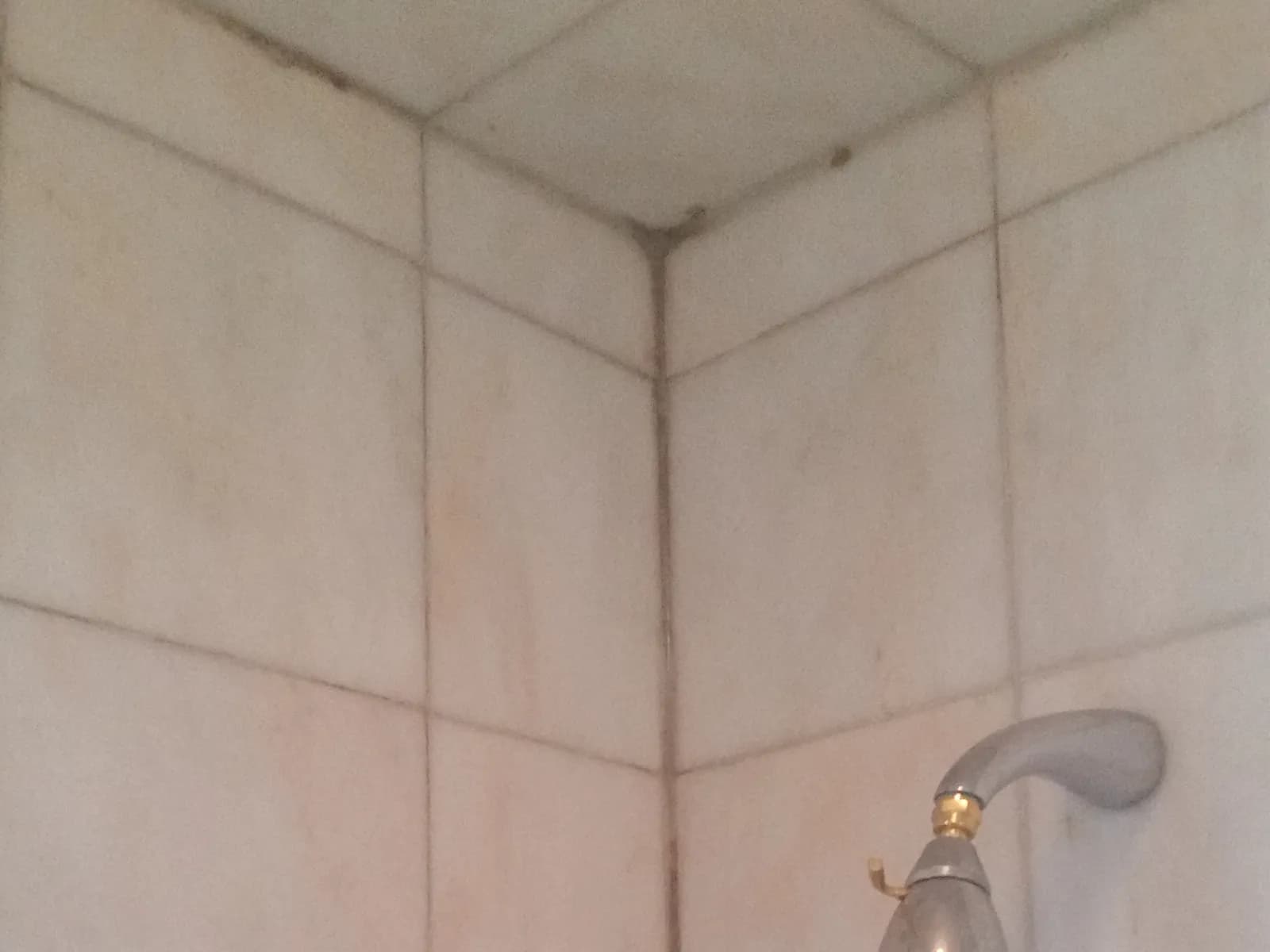 Darkened shower grout, before