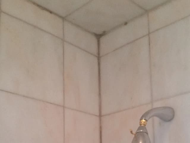 Darkened shower grout before restoration