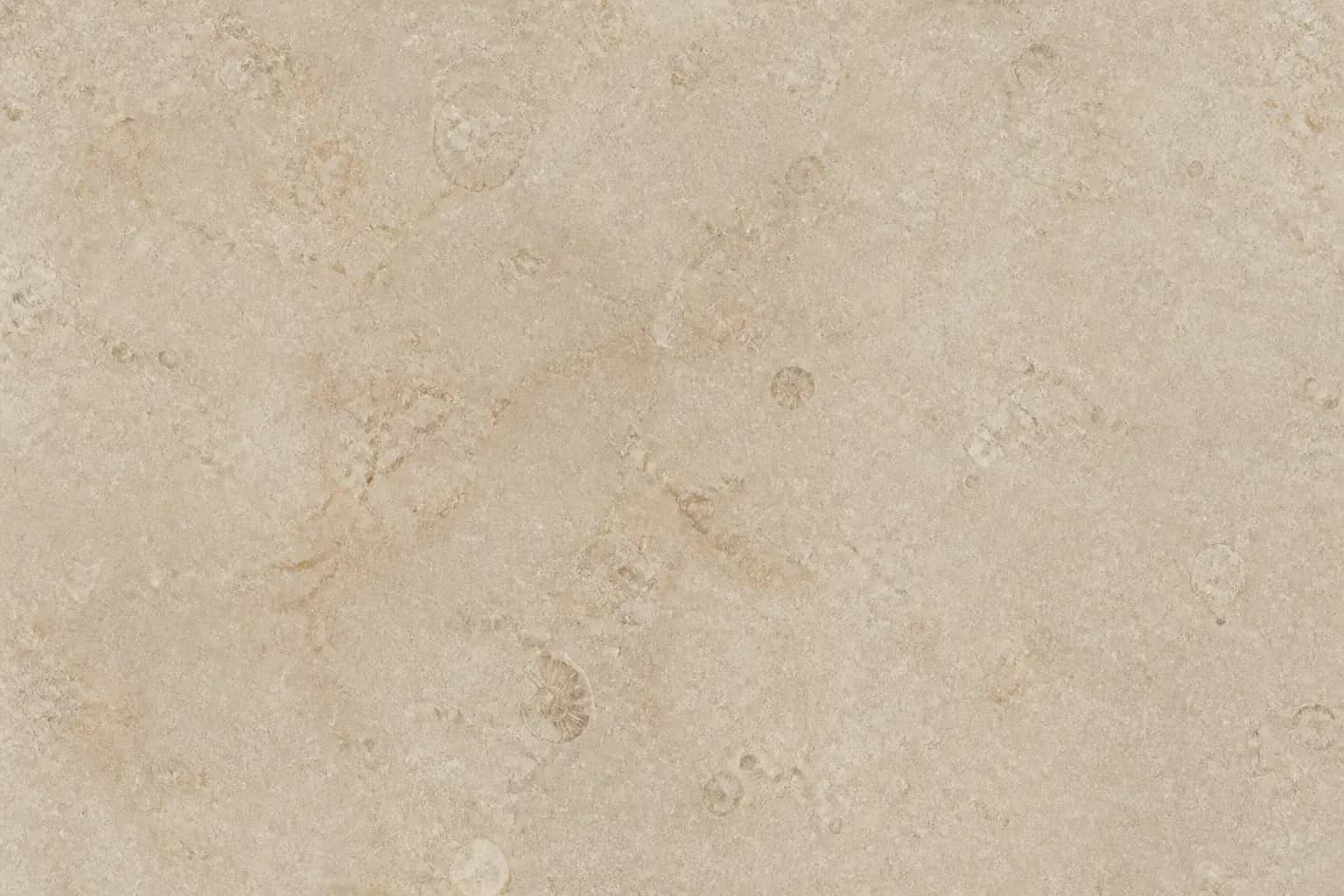 Honed beige limestone tile with subtle fossil texture