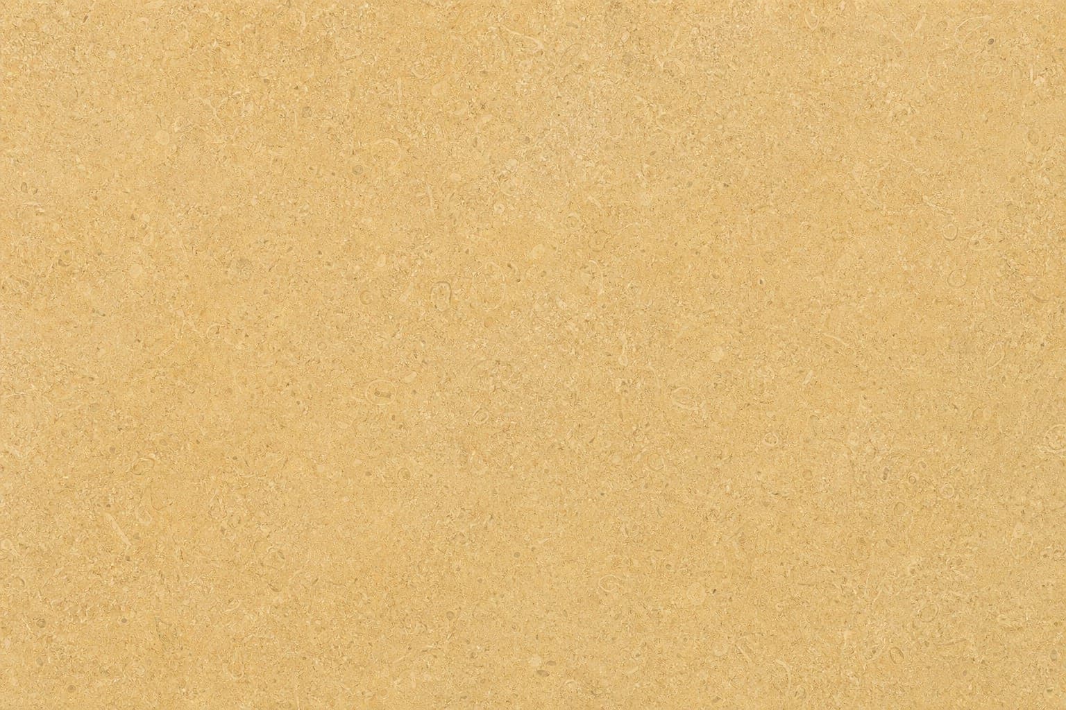 Jerusalem Gold limestone in warm golden beige honed finish