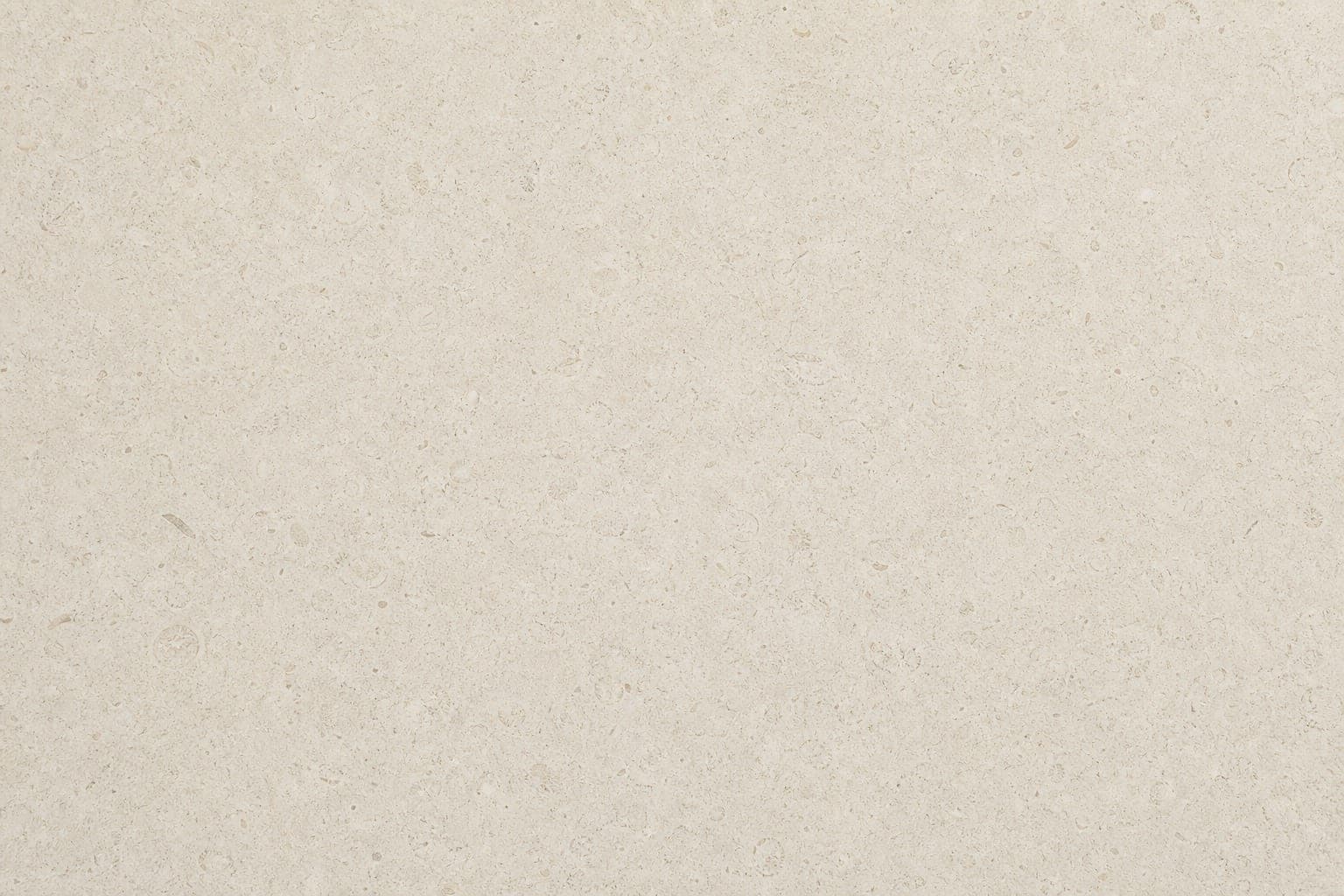 Moleanos cream limestone with subtle fossil speckling