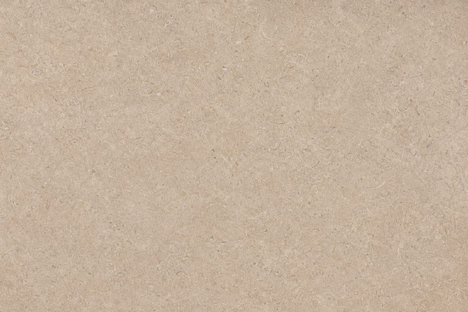 Porto Beige taupe limestone with gentle tonal variation